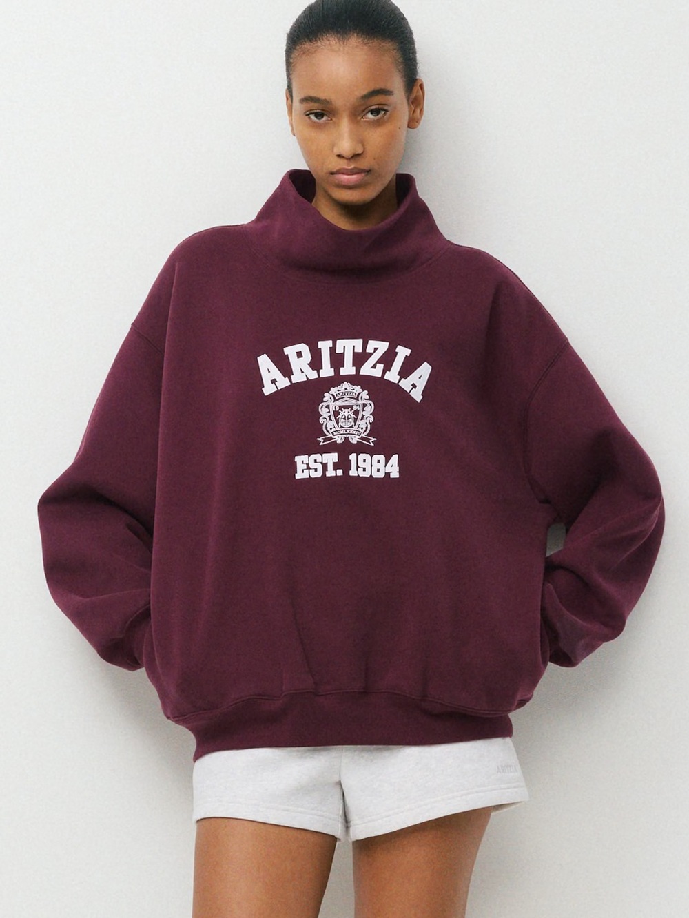 Aritzia Cozy Sweatfleece Mega Funnel Neck